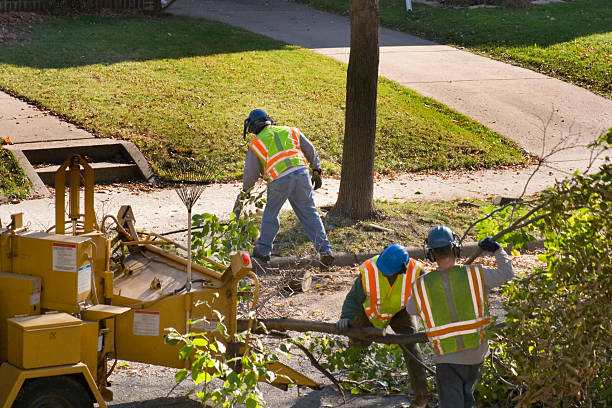 Soil Testing and Treatment in Grandview Heights, OH